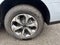 2027 Ford Expedition ACTIVE 4X4